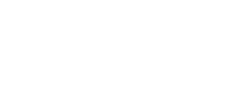 Amesis 360